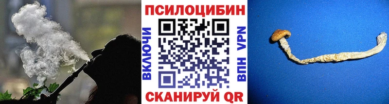 Псилоцибиновые грибы мухоморы цена площадка телеграм Михайлов